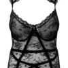 Dark Desire Lace Bodysuit [B] [PLUS]