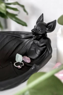 Nocturnal Catch All Dish -Kill Star Store NOCTURNAL CATCH ALL DISH W C