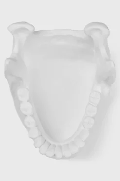 Ossuary Catch All Bowl -Kill Star Store OSSUARY CATCHALL BOWL D