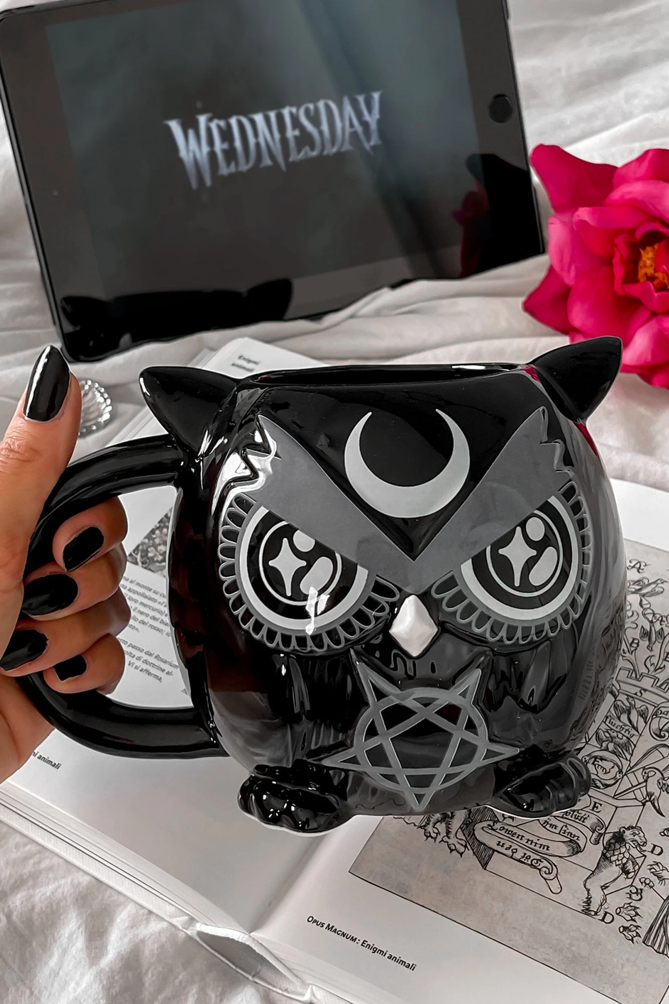 Owl Mug 1 Owl Mug