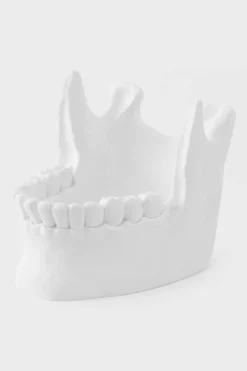 Ossuary Catch All Bowl -Kill Star Store OssuaryCatchAllBowl Angle