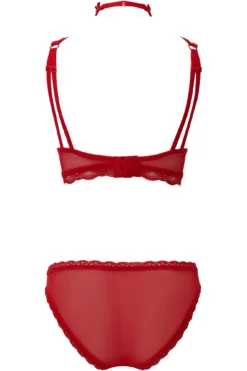 She Bites Lace Panty [SCARLET] -Kill Star Store SheBitesLace BLOOD SB 6ac390e5 9138 4bed b574 5ba9ec8c8319