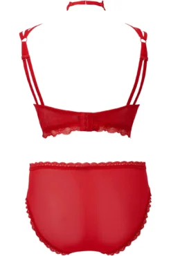 She Bites Lace Panty [SCARLET] [PLUS] -Kill Star Store SheBitesLace BLOOD PLUS B 3fe30313 d8d2 43bc a4bd ff6309f52e09