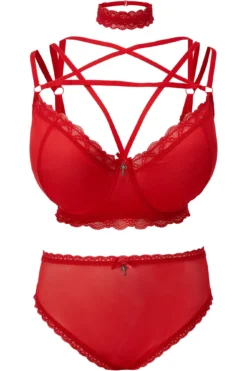 She Bites Lace Panty [SCARLET] [PLUS] -Kill Star Store SheBitesLace BLOOD PLUS S 1c445b67 c863 4ef3 bf13 8034eca580e7