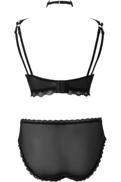 KILLSTAR She Bites Lace Panty [Plus Size] -Kill Star Store SheBitesLace B PLUS B b1f88e09 2f94 49ef 8a41 95e0faae0c04