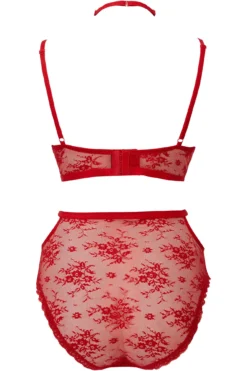 Sheer Evil Bra [SCARLET] [PLUS] -Kill Star Store SheerEvil BLOOD PLUS B