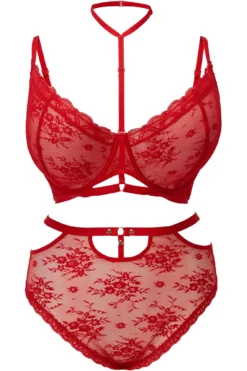 Sheer Evil Bra [SCARLET] [PLUS] -Kill Star Store SheerEvil BLOOD PLUS S