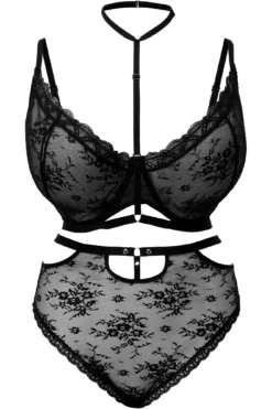 Sheer Evil Panty [B] [PLUS] -Kill Star Store SheerEvil B PLUS S 6c493313 1d27 4010 bc18 5bcac3112785